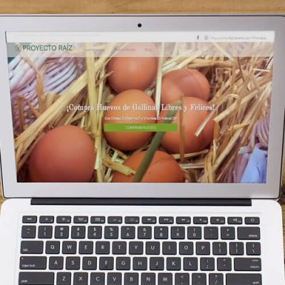 Ki Mercadeo - todo incluido emprendedores - paginas web wordpress